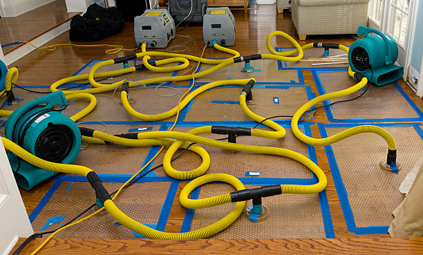 Professional Burst Pipe Water Damage technician working in Hunt Valley, MD